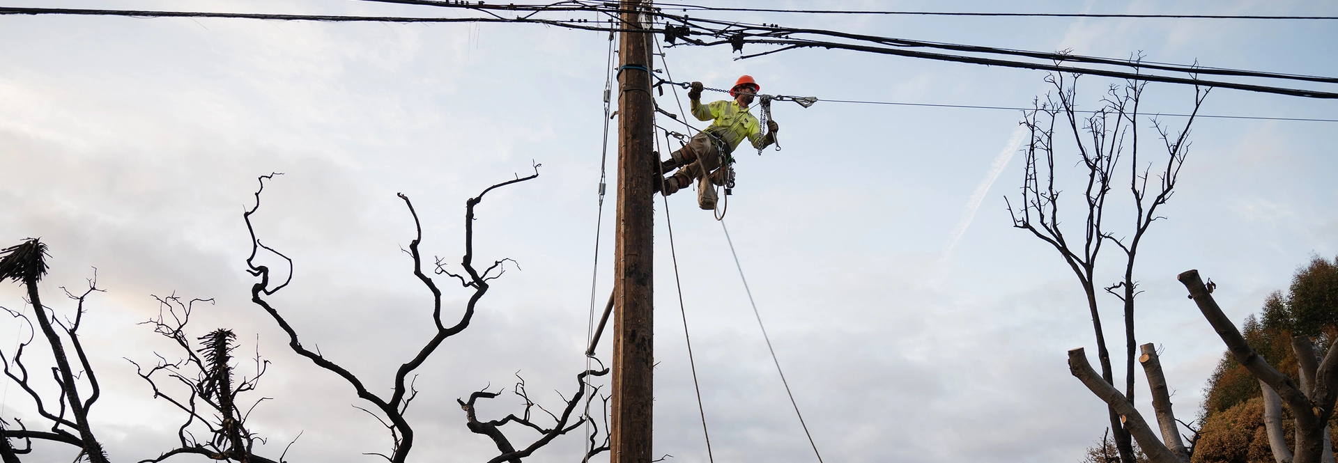 ladwp