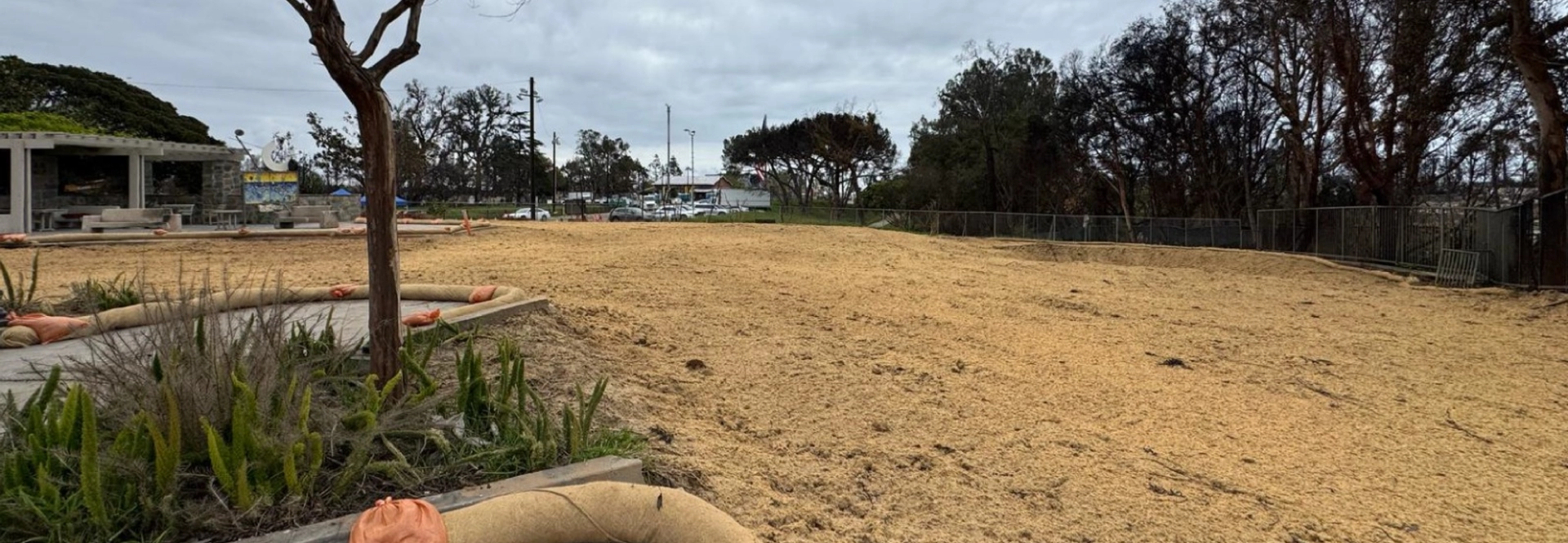 debris removal