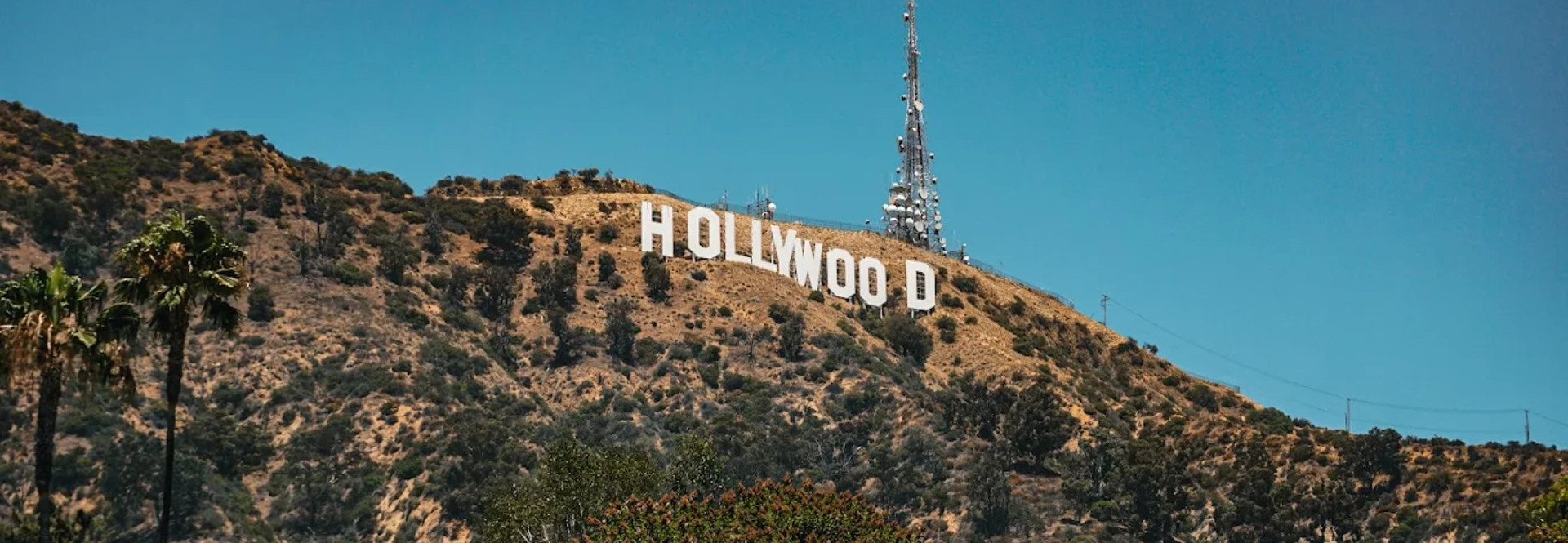hollywood