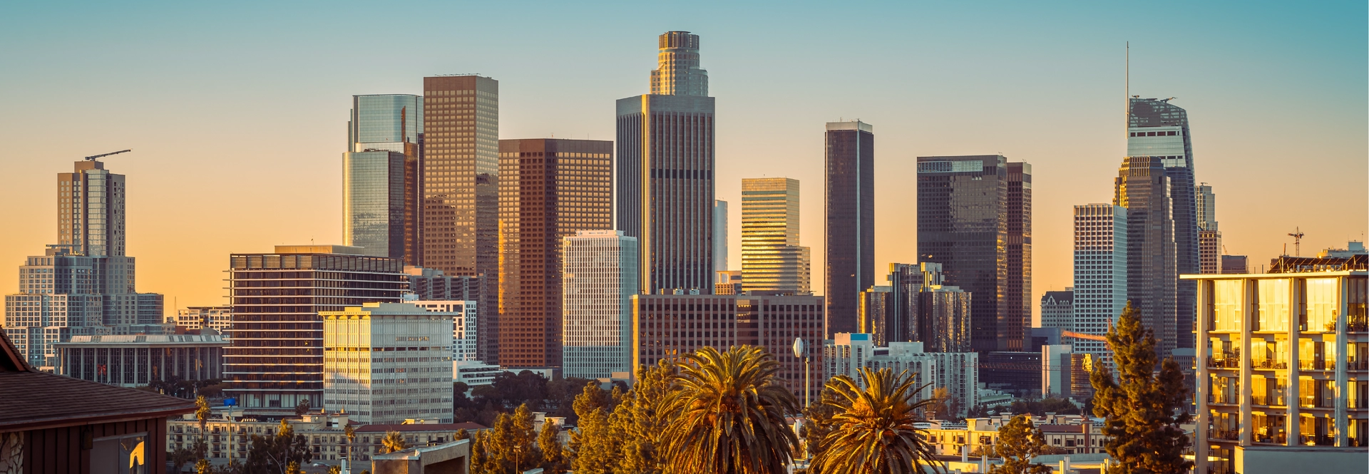 Downtown LA Skyline